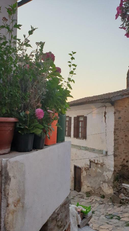 Sirin Ev Pansiyon Selcuk Exterior photo